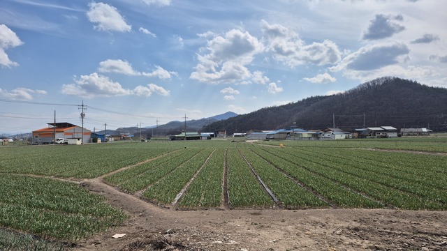 청년창업 · 보육