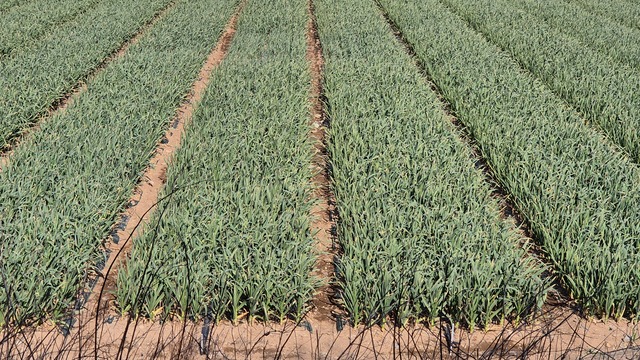 인프라 · 시설 지원