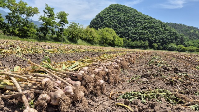제품개발 · 브랜드화