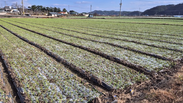 유통 · 판로확대