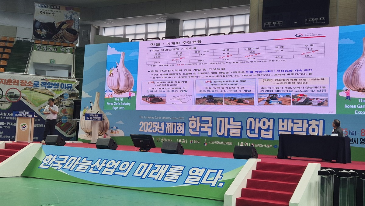 지역 문화 활성화